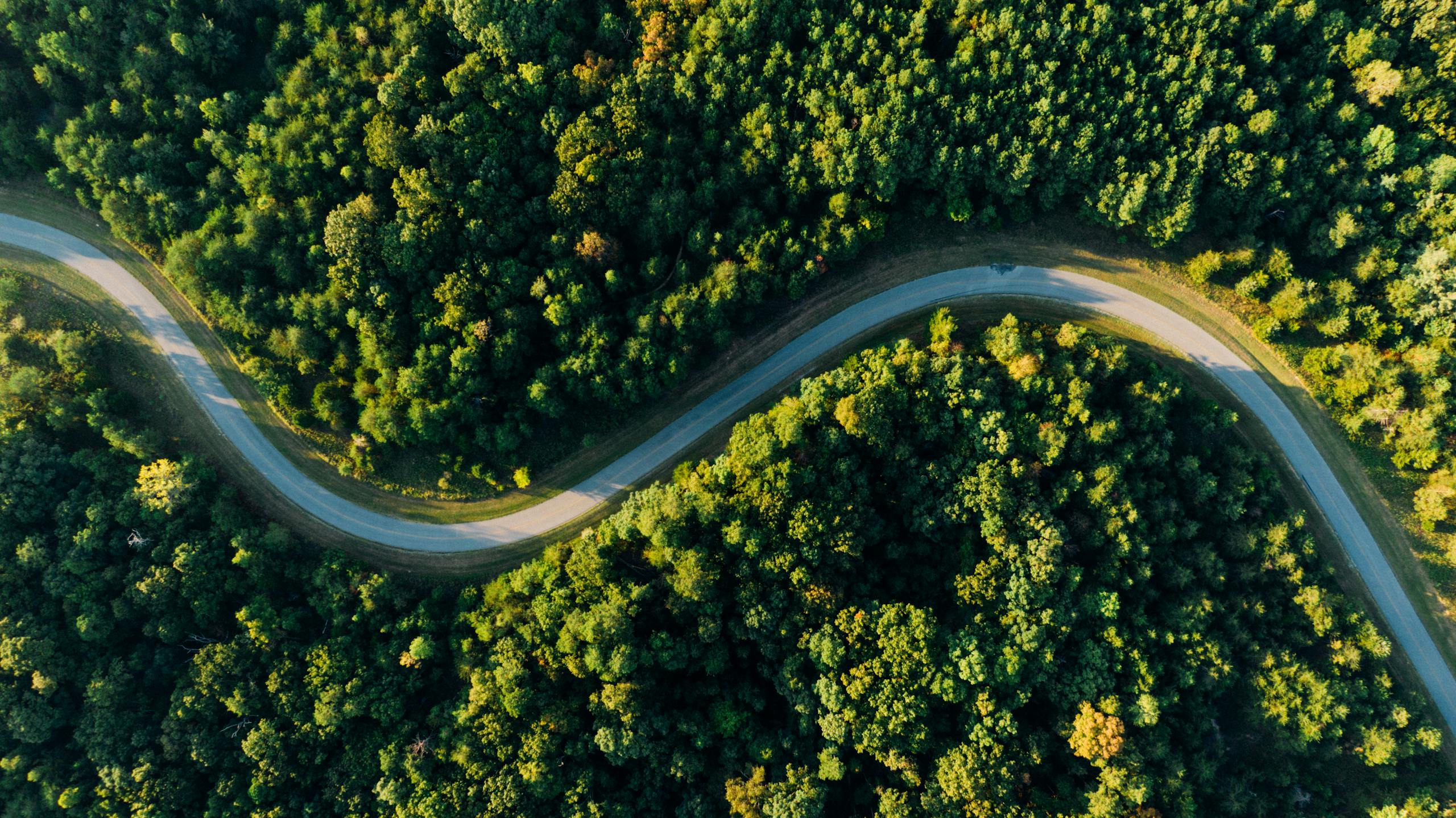 Aerial Photo of Empty Meandering Road In Between Forest